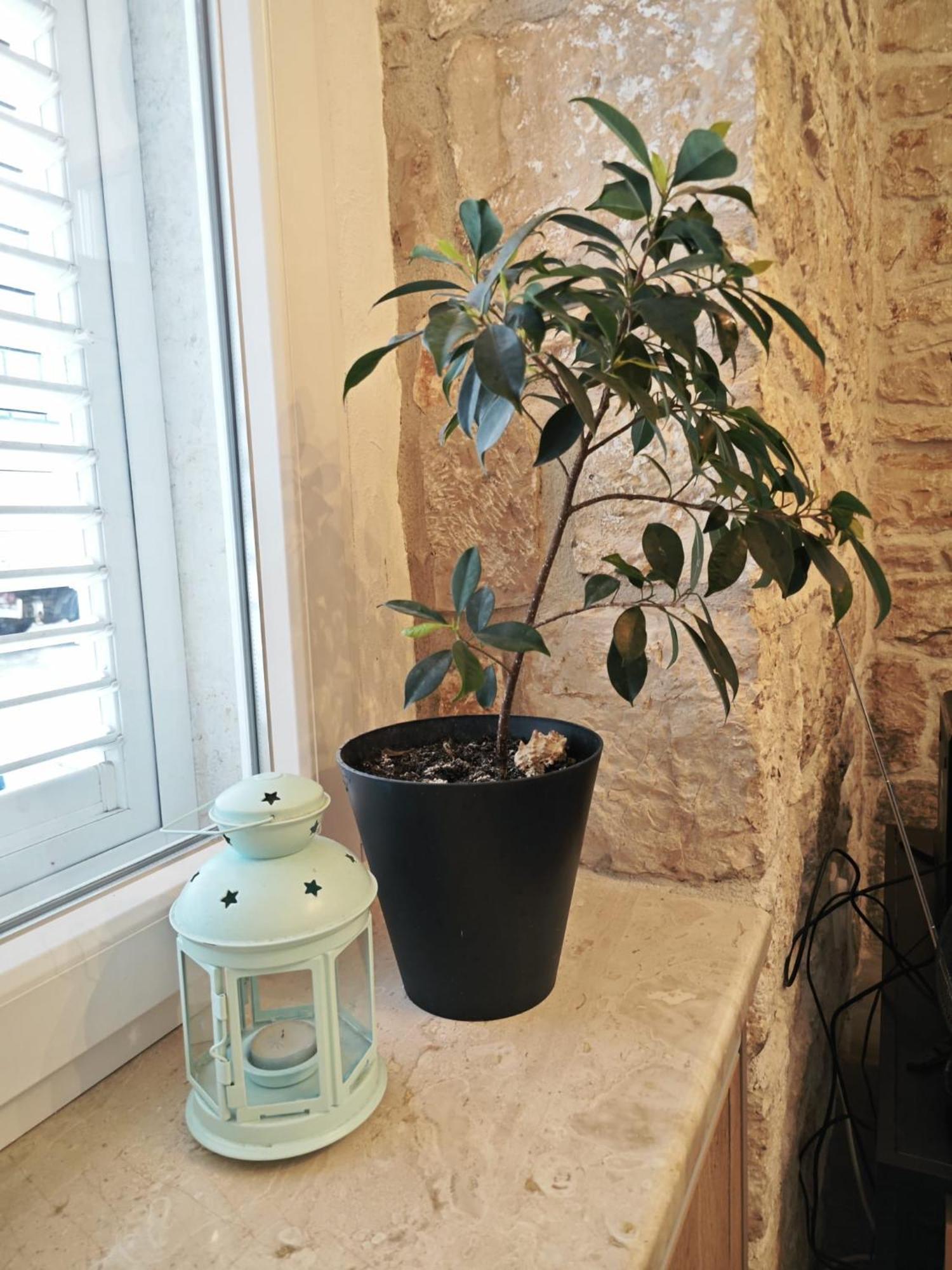 Karuza Center Of Old Town Apartment